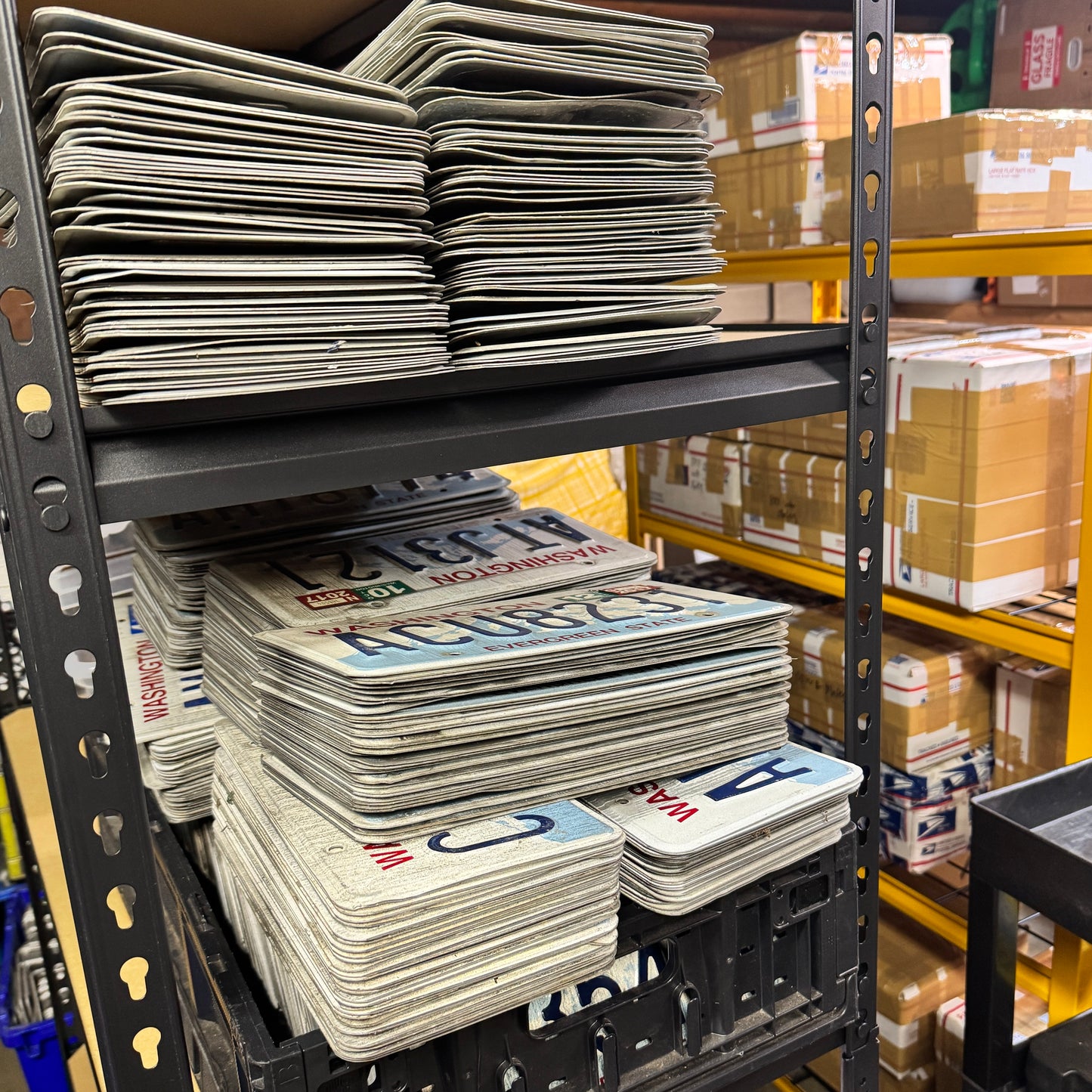 100 Washington License Plates